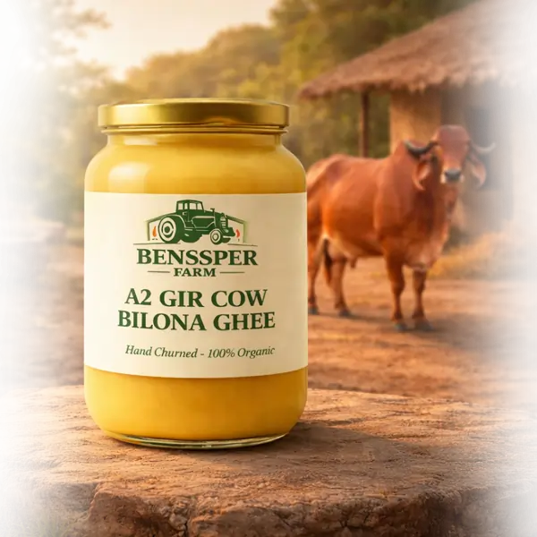 benssper-farm-cow-ar-ghee-image
